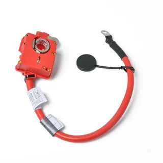 for BMW X1 E84 E82 battery power cord 61129217031 61129217031 for BMW X1 E84 E82 battery power cord 61129217031 61129217031
