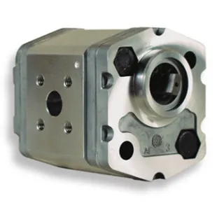Italian Marzocchi Matsuchen gear pump 1PD3.3GAS Matsuchi hydraulic pump Italian Marzocchi Matsuchen gear pump 1PD3.3GAS Matsuchi hydraulic pump