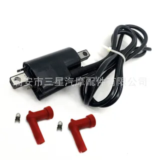 Seadoo GTI LE GTS SP GSX High -pressure Pack/Ordering Coil Motorcycle 278000383 Seadoo GTI LE GTS SP GSX High -pressure Pack/Ordering Coil Motorcycle 278000383